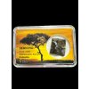 Meteorit Pallasit Sericho 2,36g – Keňa
