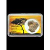 Meteorit Pallasit Sericho 4,2g – Kenia