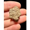 Meteorite Al Haggounia 001 – 4,84g – Western Sahara