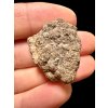 Meteorite Al Haggounia 001 – 8,11g – Western Sahara