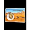 Meteorit Al Haggounia 001 – 6,42g – Westsahara
