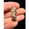 Meteorite Al Haggounia 001 – 4,51g – Western Sahara