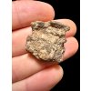 Meteorit Al Haggounia 001 – 5,2g – Západní Sahara