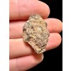 Meteorite Al Haggounia 001 – 4,78g – Western Sahara
