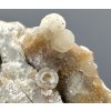 Crystal, Calcite – Vsechlapy, CZ