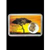 Sericho Pallasite Meteorite 1,6g – Kenya