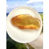 Amber in box – Lithuania