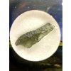 Moldavite in box - Nesmen