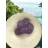 Traubenchalcedon in der Box – Sulawesi – Indonesien