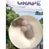 Traubenchalcedon in der Box – Sulawesi – Indonesien