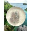 Grape Chalcedony in box – Sulawesi, Indonesia