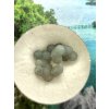 Traubenchalcedon in der Box – Sulawesi – Indonesien