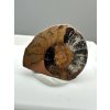 Ammonite – Morocco