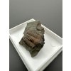 Trilobit Ellipsocephalus hoffi – Jince, CZ