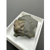Trilobit Ellipsocephalus hoffi – Jince, ČR