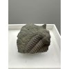 Trilobit Ellipsocephalus hoffi – Jince, ČR
