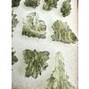 Moldavite – Besednice Jezkovna – 20g