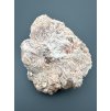 Baryte – Hradiste u Kadane, CZ