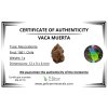 Meteorite Vaca Muerta 1g – Chile