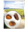 Amber in box – Lithuania