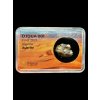 Meteorit Djoua 001 – 1,5g – Algerien