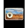 Meteorite Vaca Muerta 0,4g – Chile
