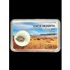 Meteorite Vaca Muerta 0,3g – Chile