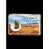 Meteorit Vaca Muerta 1,1g – Chile