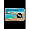 Meteorit Sebkha el Melah 001 – 0,1g – Mali