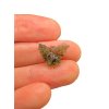 Moldavite – Nesmen – 0,6g