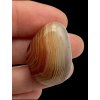 Tumbled agate – Madagascar