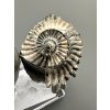 Ammonite Pleuroceras (pair – positive and negative side) 3,9cm and 3,2cm – Buttenheim, Bavaria, Germany