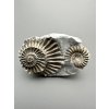 Ammonite Pleuroceras 5,9cm – Buttenheim, Bavaria, Germany