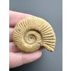 Ammonit 4,5cm – Poitiers, Frankreich