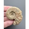 Amonit 4,4cm – Poitiers, Francie
