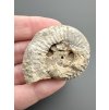 Ammonit 3,9cm – Poitiers, Frankreich