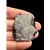 Meteorite Seymchan 9,5g / slice – Magadan, Russia