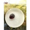 Czech Garnet (pyrope) in box – Vestrev u Hostinneho, CZ
