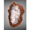 Agate – Zeleznice, CZ