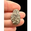 Meteorit Canyon Dibalo 5,1g – Arizona, USA