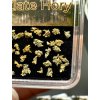 1g zlata na křemeni v krabičce – Zlaté Hory, ČR