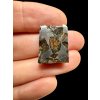 Meteorit Pallasit Pallasovka 6g – Rusko