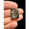 Meteorite Pallasit Pallasovka 6g – Russia