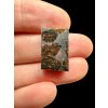 Meteorit Pallasit Pallasovka 4g – Russland