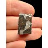 Meteorit Pallasit Pallasovka 4g – Rusko