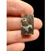 Meteorite Pallasit Pallasovka 4,1g – Russia