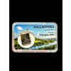 Meteorit Pallasit Pallasovka 2,8g – Rusko