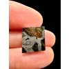 Meteorite Pallasit Pallasovka 3,4g – Russia