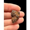 Meteorite Seymchan 4,7g / endcut – Magadan, Russia
