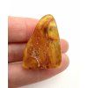 Amber 3,8g – Gdańsk, Poland
